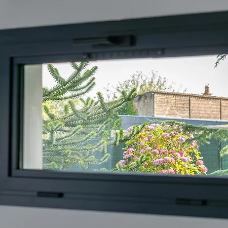 Lejlighed Le Araucaria *