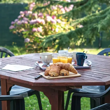 Le Araucaria Le Tilleul